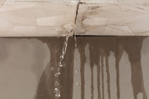 Professional Water Damage Restoration technician working in Windom, MN